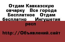 Отдам Кавказскую овчарку - Все города Бесплатное » Отдам бесплатно   . Ингушетия респ.